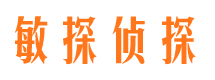 双城调查公司